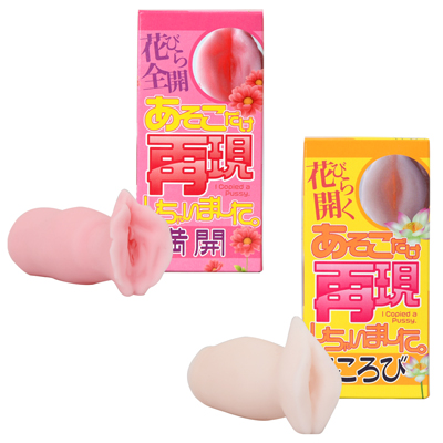 あそこだけ再現しちゃいました。