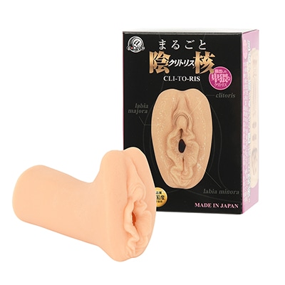 まるごと陰核（クリトリス）